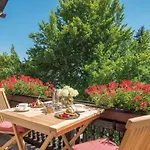 Adler Gourmet & 4*