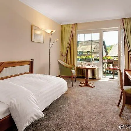 호텔 Adler Gourmet &