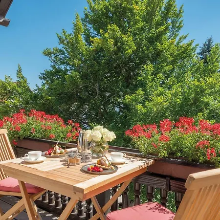 Adler Gourmet & 4*
