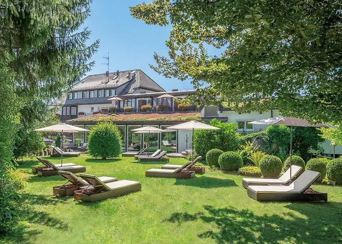 Adler Gourmet & Hotel 4*